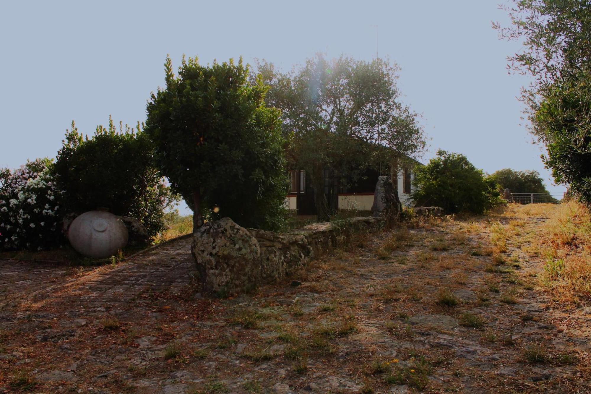 Agriturismo Su Recreu Ittiri Екстериор снимка