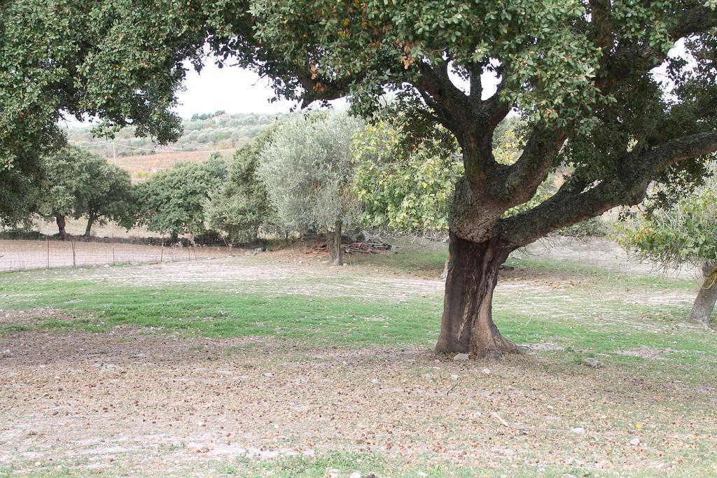 Agriturismo Su Recreu Ittiri Екстериор снимка
