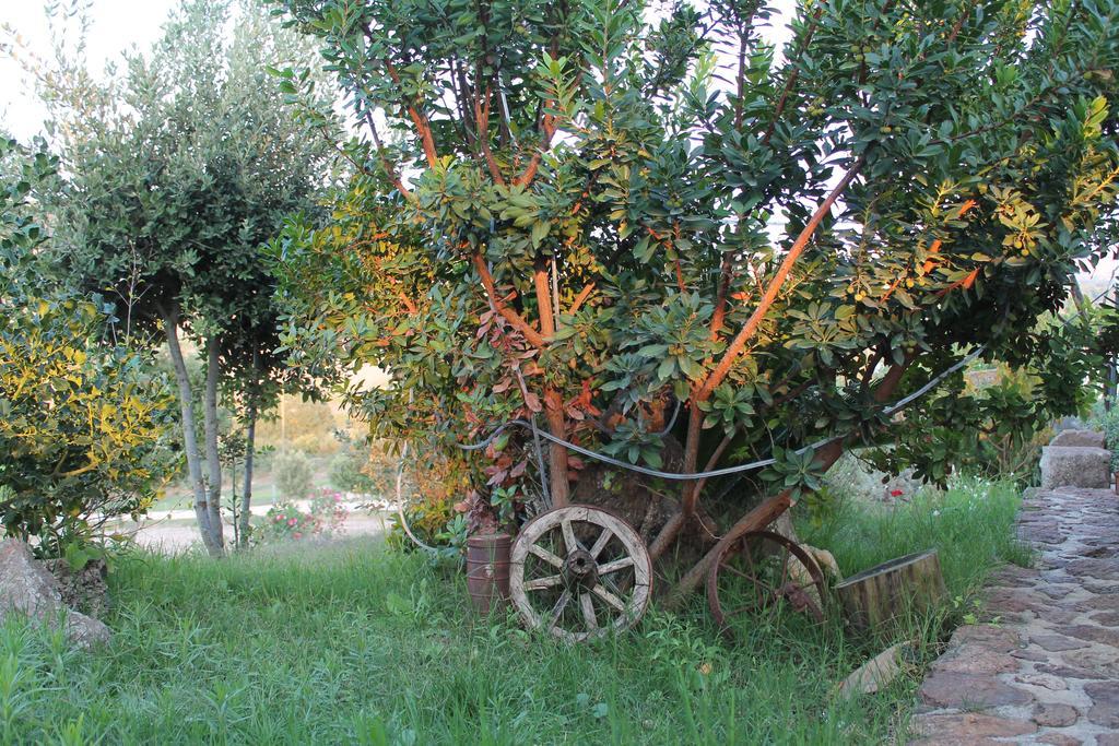 Agriturismo Su Recreu Ittiri Екстериор снимка
