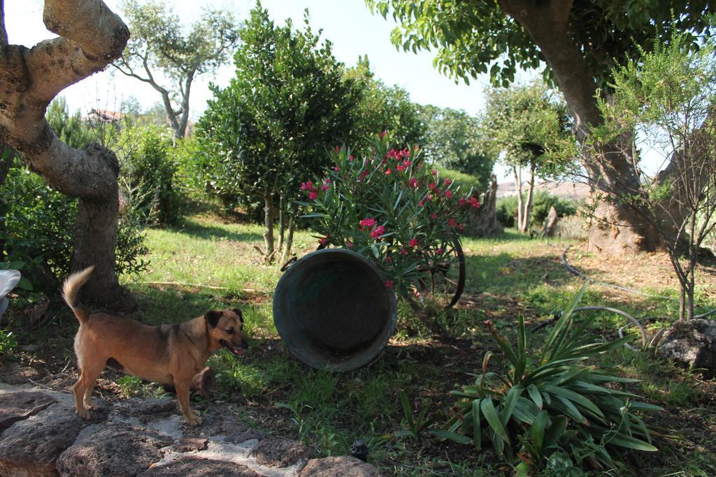 Agriturismo Su Recreu Ittiri Екстериор снимка