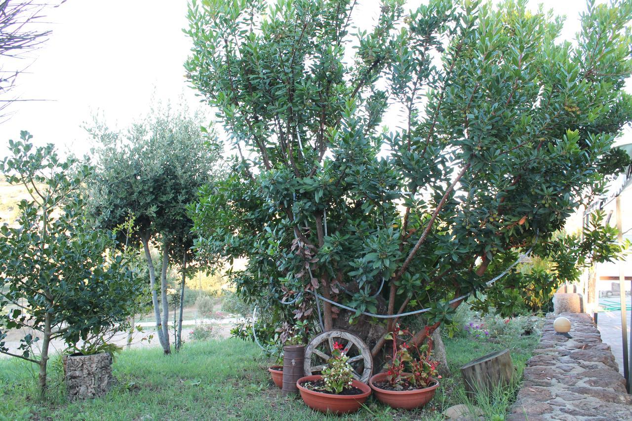 Agriturismo Su Recreu Ittiri Екстериор снимка