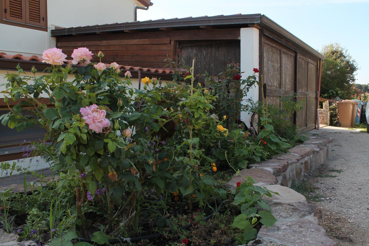 Agriturismo Su Recreu Ittiri Екстериор снимка
