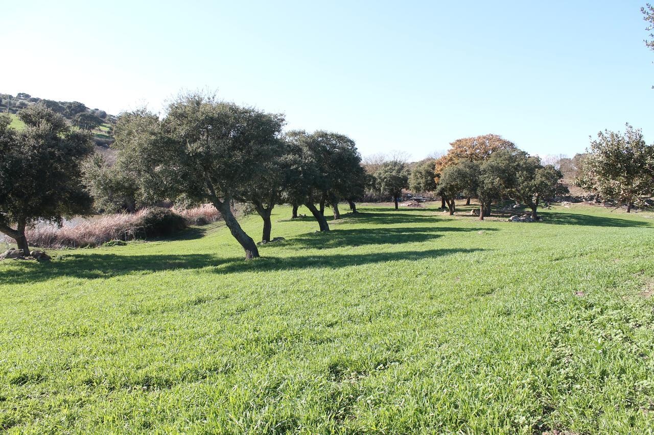 Agriturismo Su Recreu Ittiri Екстериор снимка